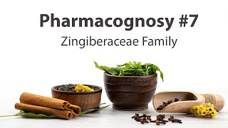 7 Zingiberaceae Family  Pharmacognosy [upl. by Simetra]