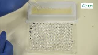 MIC by Microbroth dilution method [upl. by Heer141]