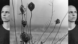 Recondite  Placid Full Album [upl. by Pete]