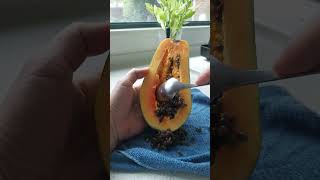 yummyfoods fruit shortvideo papaya [upl. by Mayyahk]