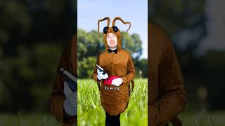 Dung Beetle Restaurant 💩 comedy insects shorts [upl. by Mac718]