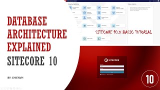 06Sitecore Database Architecture Explained  Sitecore 10 Basic Tutorial [upl. by Amice]