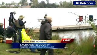 Trout are jumping at Rancho Seco [upl. by Ahsirtal]