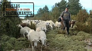 LA CABAÑERA DEL PIRINEO ARAGONÉS trashumancia THE LIVESTOCK TRAIL OF THE ARAGONESE PYRENEES [upl. by Malvin762]