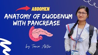 Anatomy of Duodenum with Pancreas  Bangla Demonstration of Duodenum with Pancreas [upl. by Oniskey]