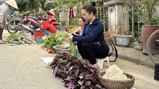 Harvest cowpeas red spinach and bean sprouts and bring them to the market to sell [upl. by Howie]