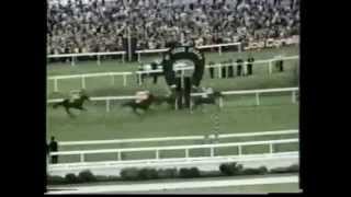 Bruni The 1975 St Leger Stakes Doncaster [upl. by Humpage]