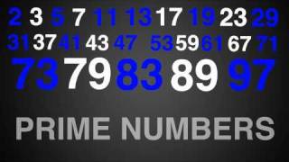 Prime Numbers Rap Song Typography Math [upl. by Marty623]