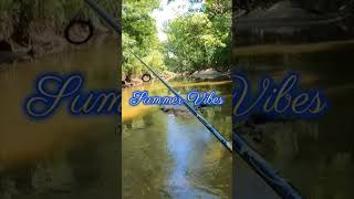 Summer Vibes While Wade Fishing A Creek creek summer vibes river fishing bass [upl. by Oppen]