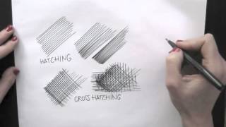 DrawTipTuesday  The Hatching Technique [upl. by Disharoon]