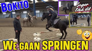 We gaan SPRINGEN met de PAARDEN Dan vind ik BOKITO wel leuk om op te RIJDEN springen 3503 [upl. by Atilam]