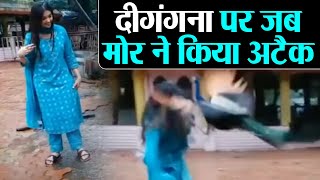 Bigg Boss 9 contestant Digangana Suryavanshi पर मोर ने किया अटैक  Shudh Manoranjan [upl. by Adlemi]