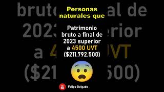 Que PERSONAS NATURALES deben DECLARAR RENTA en 2024 🇨🇴 shorts [upl. by Louisa]