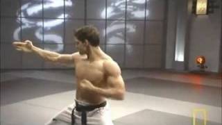 Fight Science  Bren Foster Taekwondo speed [upl. by Adi668]