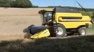 Moisson dans le Périgord  NEW HOLLAND CS 6050 [upl. by Spielman309]