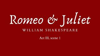 Romeo and Juliet  Act 3 Scene 3  quotRomeo come forthquot Subtitles in modern English [upl. by Ursulina140]