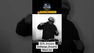 SZASnoozeDeBargeDreamMashUp mashup sza snooze dj [upl. by Codding]