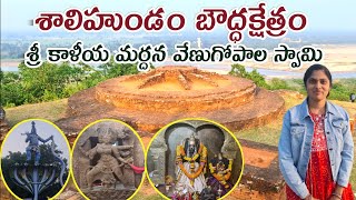 Salihundam Srikakulam Vlog  Venugopala Swamy Temple  Salihundam Buddist Stupa  Salihundam History [upl. by Odericus]