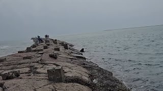 Pescando en Isla Blanca SPI TX fishing pescando pesca southpadreisland sportfishing [upl. by Nirehs]