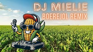 Boerejol  Die Ventertjies Kosie Beukes amp Kannie Warries Dansorkes DJ MIELIE REMIX [upl. by Liban]