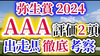 【弥生賞 2024】シンエンペラー参戦！トロヴァトーレ、ダノンエアズロックが皐月賞の優先出走権を狙う！馬券的中のポイントはレース回顧と時計分析！弥生賞の出走予定馬を徹底考察！ [upl. by Anahtor]