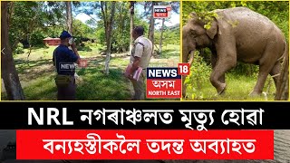 Numaligarh News  NRLনগৰাঞ্চলত মৃত্যু হোৱা বন্যহস্তীক গোপনে সমাধিস্থ কৰা সন্দৰ্ভত তদন্ত অব্যাহত N18V [upl. by Mccafferty]