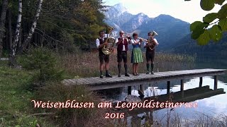 Weisenblasen am Leopoldsteinersee 2016 [upl. by Carman873]