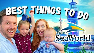 What is there to do at SeaWorld in Orlando [upl. by Assiram]