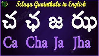 Cha Ccha Ja Jha Guninthalu in English How to write చ ఛ జ ఝ Guninthalu in English Learn Guninthalu [upl. by Michaelina]