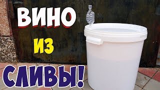 ВИНО ИЗ СЛИВЫ  Сливовое вино ПРОСТОЙ РЕЦЕПТ Часть 1 [upl. by Inatirb]