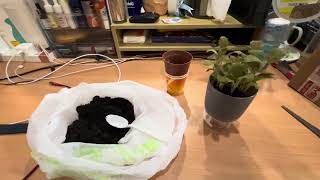 Unboxing Self Watering Pot for Indoor Plant malaysia shopee selfwatering pot indoorplants [upl. by Newman]