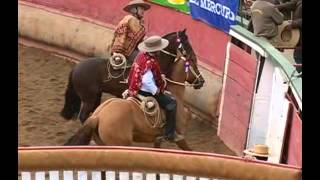 Rodeo Campeones de Chile [upl. by Ernaline450]