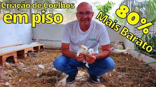 Como Criar coelhos soltos em piso [upl. by Blanche]