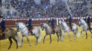 How Andalusian Horses Dance 40th anniversary 2013 [upl. by Balsam]