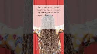 Box Braids 101 A Complete Guide to Styling amp Maintenance  herhairdos [upl. by Meikah]