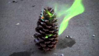 Colored Fire or Colored Flames Pinecones [upl. by Macpherson444]