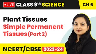 Plant Tissues  Simple Permanent Tissues Part 2  Class 9 Science Chapter 6 LIVE [upl. by Sophie621]