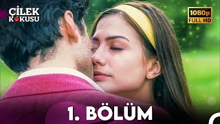 Çilek Kokusu 1 Bölüm ᴴᴰ [upl. by Frost]