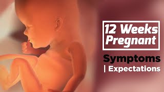 12 Weeks Pregnant  Pregnancy Week By Week Symptoms  The Voice Of Woman [upl. by Tavie]