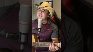 Vontade Dividia Ze rico asmelhoresmodao musica seleçaodesertanejo sertanejo modaodeviola topse [upl. by Torruella]