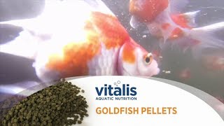 Vitalis Goldfish Pellets [upl. by Nesiaj810]