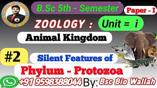 Silent Features of PhylumProtozoa PhylumProtozoa protozoa protozoacharecter animalkingdom [upl. by Eudora]