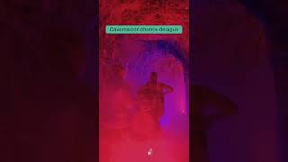 ENTRANDO AL PARQUE XENSES EN MEXICO insta360acepro hotelxcaretmexico xcaret travel fypage [upl. by Edric]