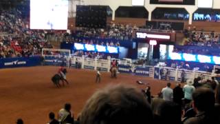 Horse Jumps over Rodeo Fence [upl. by Aietal]