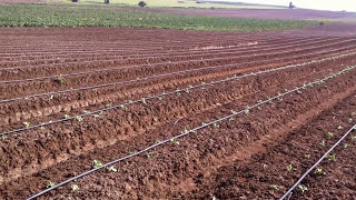 Drip Irrigation System in Israel  Pipe Irrigation System  Drip Irrigation System [upl. by Anirehc]