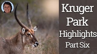 Kruger Park Highlights Part Six [upl. by Salis610]