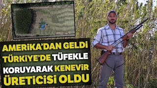 Amerika’dan Geldi Türkiye’de Kenevir Üretti [upl. by Akinnor]