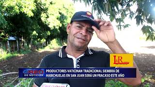 Productores vaticinan tradicional siembra de habichuelas en San Juan será un fracaso este año [upl. by Ulyram224]