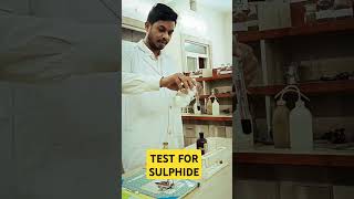 TEST FOR SULPHIDE [upl. by Esil]