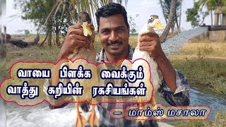 HOW TO MAKE A DUCK GRAVY மாம்ஸ் மசாலா வாத்துக்கறி குழம்பு மற்றும் வளர்ப்பு முறைHEALTH BENEFITS [upl. by Kinghorn]